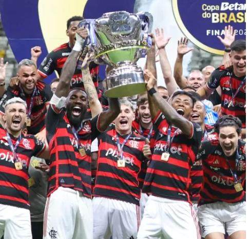 开云app-41天 9场比赛 菲利佩·路易斯率队夺得巴西杯冠军